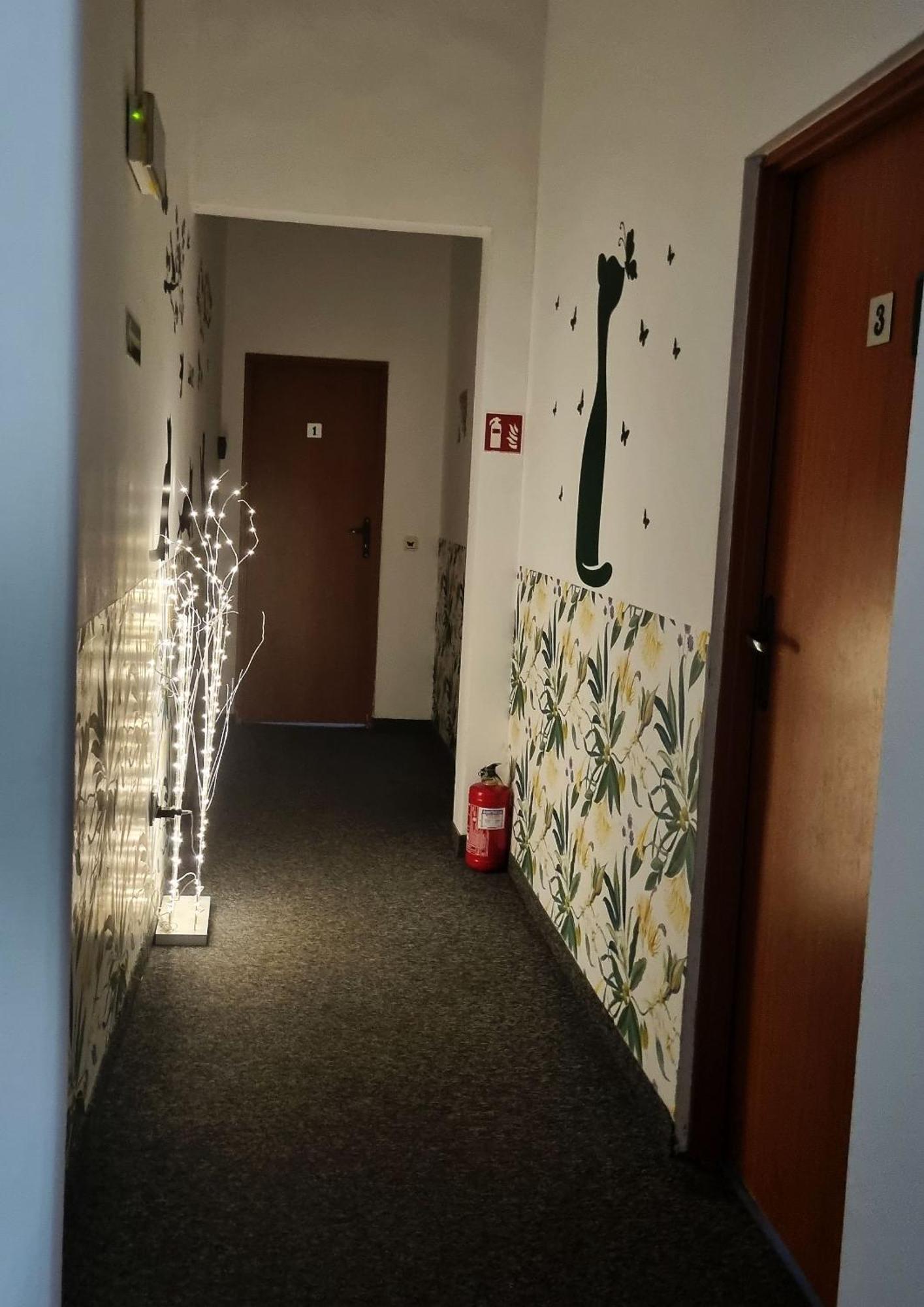 Green Cat Rooms — الصور 1